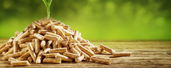 Pellets de bois