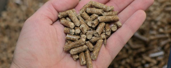 bois de chauffage compressé