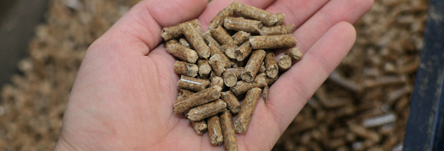 bois de chauffage compressé